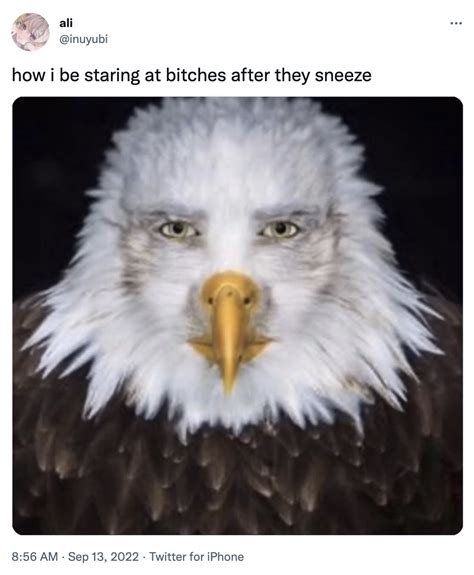 Meme .